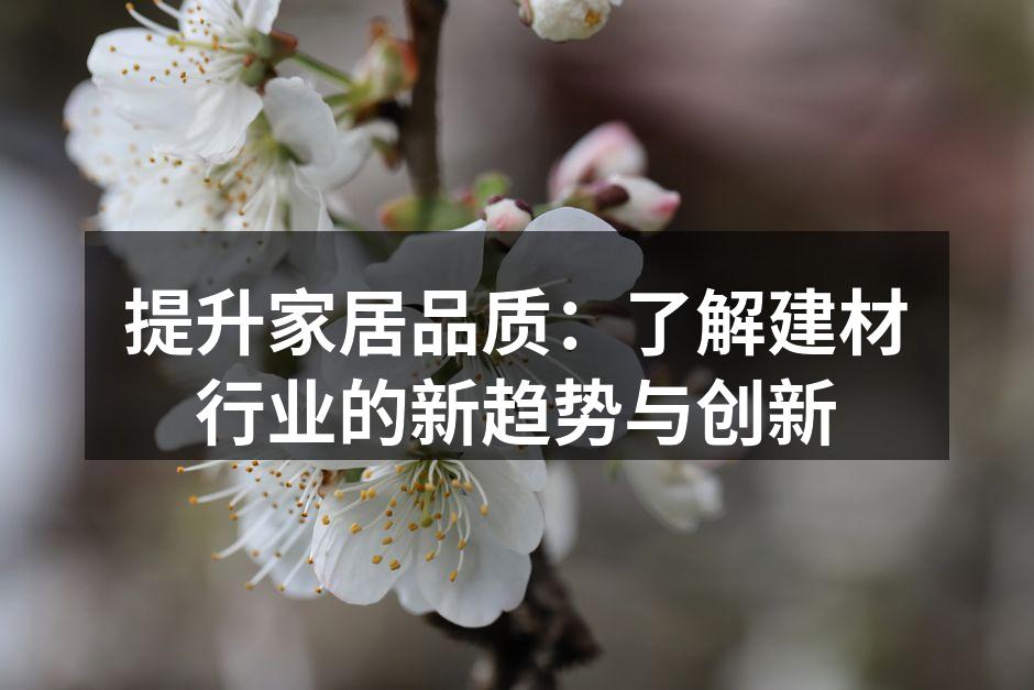 提升家居品质：了解建材行业的新趋势与创新